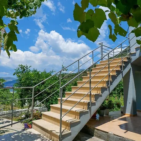 Vila Juli 1 Guest house